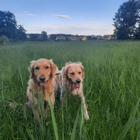 Mika Und Lizzy