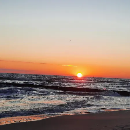 Mika Und Lizzy * 코세로우