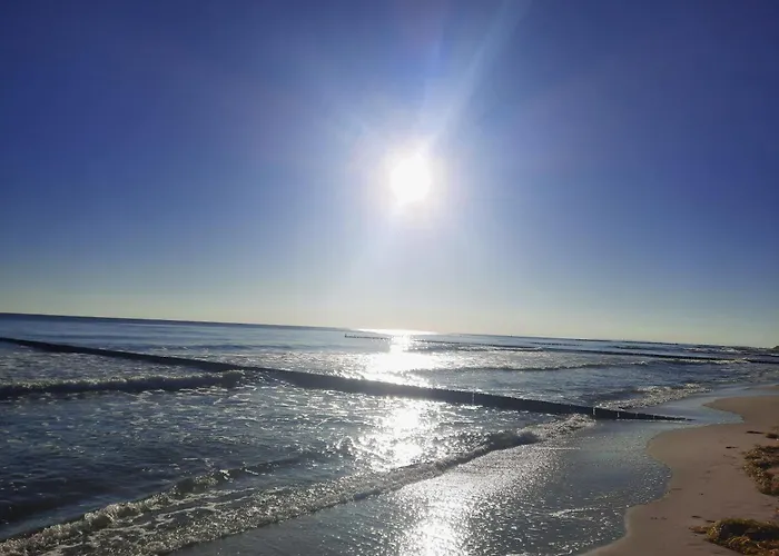 Mika Und Lizzy * 코세로우