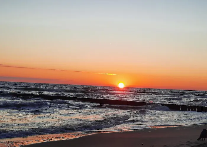 Mika Und Lizzy * Koserow